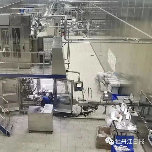 中俄跨境乳制品加工厂项目 前5个月产值增长超300%，奶制品批发与进出口蓬勃发展