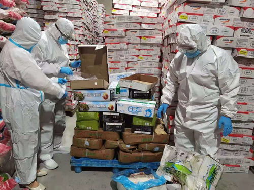 乌兰察布市场监管局强化进口冷链食品与奶制品监管，突击检查批发及进出口环节